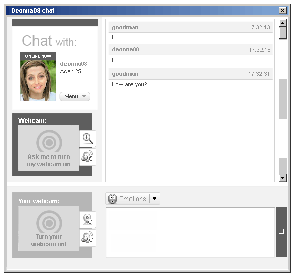 example of the chat interface